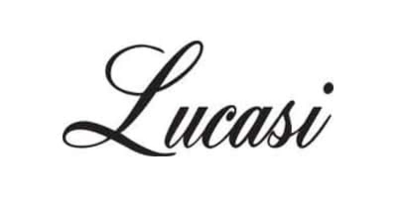 5 Best Lucasi Pool Cues [Buying Guide]