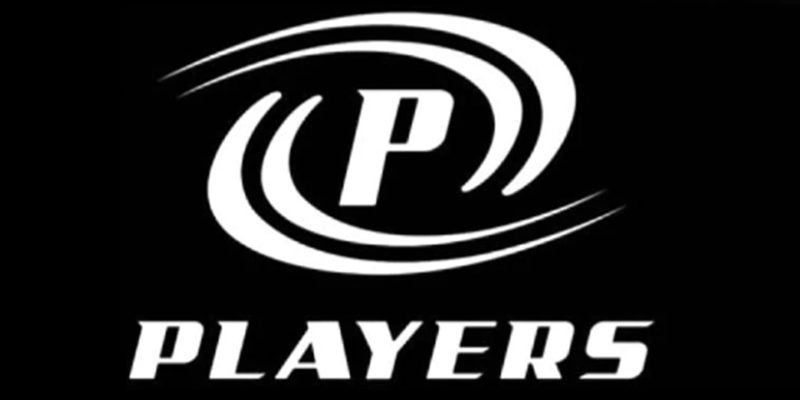 5 Best Players Pool Cues [Buying Guide]