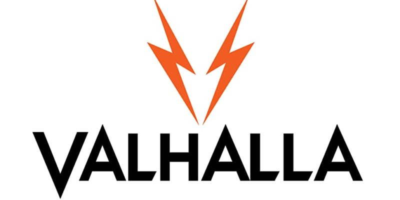 5 Best Viking Pool Cues [Buying Guide]